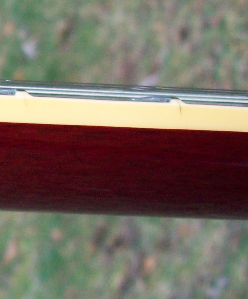 Fret nibs cracking should I worry? My Les Paul Forum